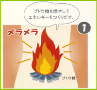 �u�h�E����R�₵�āA�G�l���M�[�����肾���B