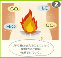 �u�h�E���͔R���邱�Ƃɂ���āA�Y�_�K�X�Ɛ��ɕ�������Ă����B