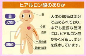 �q�A�������_�̂��肩