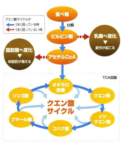 �N�G���_�T�C�N��