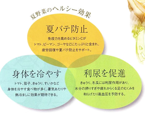 �Ė�؂̃w���V�[����