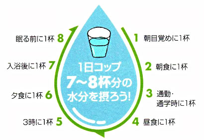 ����R�b�v7�`8�t���̐�����ۂ낤�I