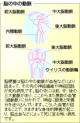 �]�̒��̓���