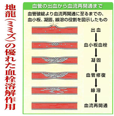 �~�~�Y�̗D�ꂽ����n����p