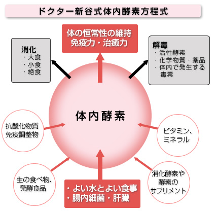 �h�N�^�[�V�J���̓��y�f������