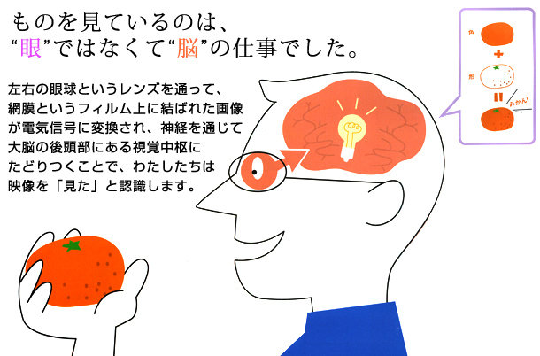 ���̂����Ă���̂́A��ł͂Ȃ��Ĕ]�̎d���ł���