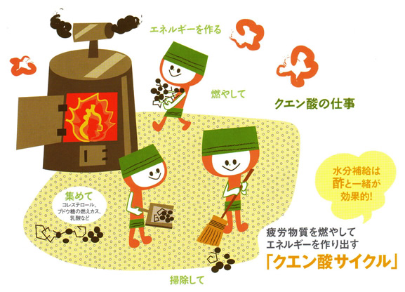 ��J������R�₵�ăG�l���M�[�����o���u�N�G���_�T�C�N���v