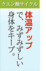 �N�G���_�T�C�N���F�̉��A�b�v�ŁA�݂��݂������g�̂��L�[�v�B