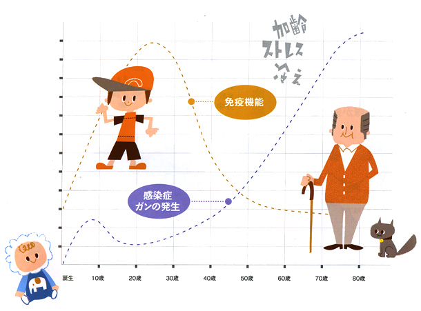 �Ɖu�@�\�ƁA�����ǁE�K���̔��������Ƃ̊֘A�O���t