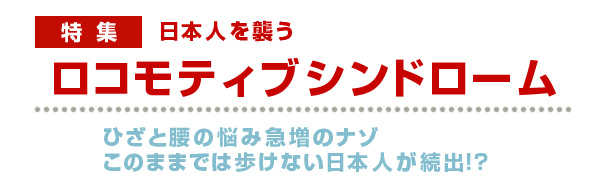 ���{�l���P�����R���e�B�u�V���h���[��