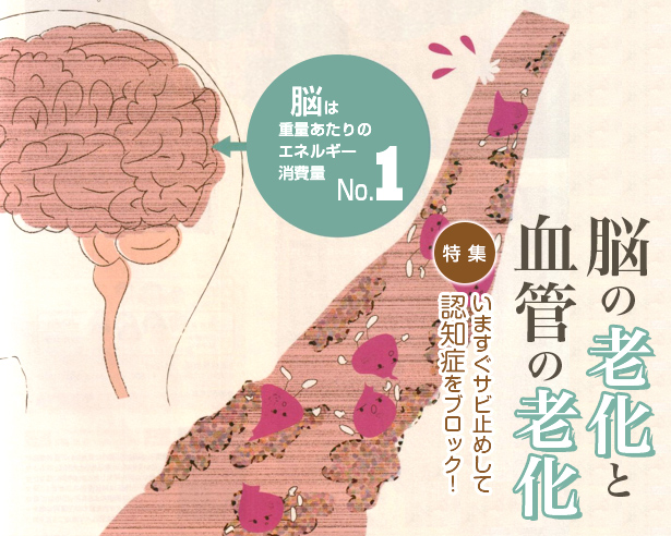 �]�̘V���ƌ��ǂ̘V��