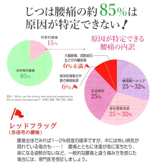 ���͍��ɂ̖�85���́A����������ł��Ȃ��I