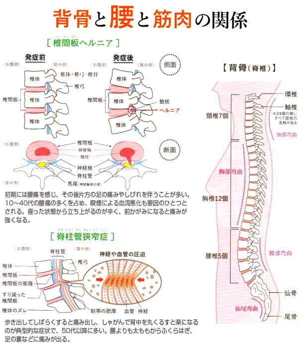 �w���ƍ��Ƌؓ��̊֌W