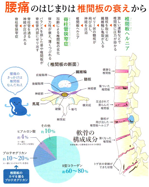 ���ɂ̂͂��܂�͒ŊԔ̐�������