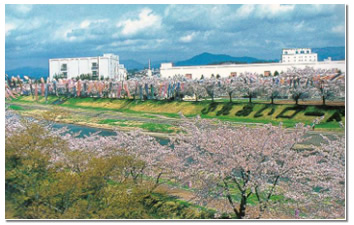 �߉ސ�̍�����