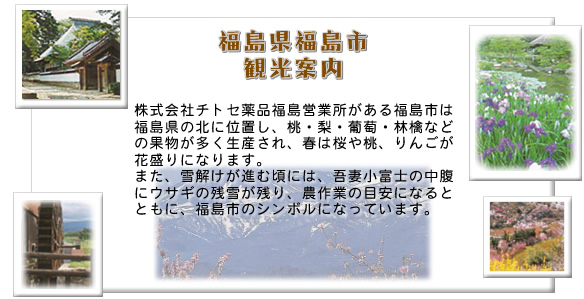 福島県福島市観光案内「株式会社チトセ薬品福島営業所がある福島市は福島県の北に位置し、桃・梨・葡萄・林檎などの果物が多く生産され、春は桜や桃、りんごが花盛りになります。また、雪解けが進む頃には、吾妻小富士の中腹にウサギの残雪が残り、農作業の目安になるとともに、福島市のシンボルになっています。」