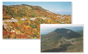 �֒��ȃX�J�C���C��