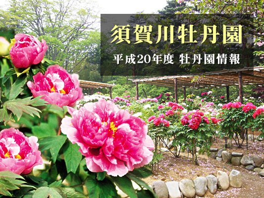 須賀川牡丹園 平成20年度牡丹園情報