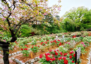 �{��쉲�O��