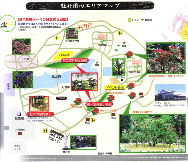 ���O���G���A�}�b�v