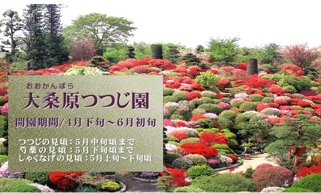 ��K������