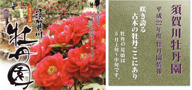 �{��쉲�O���@����21�N�x���O�����