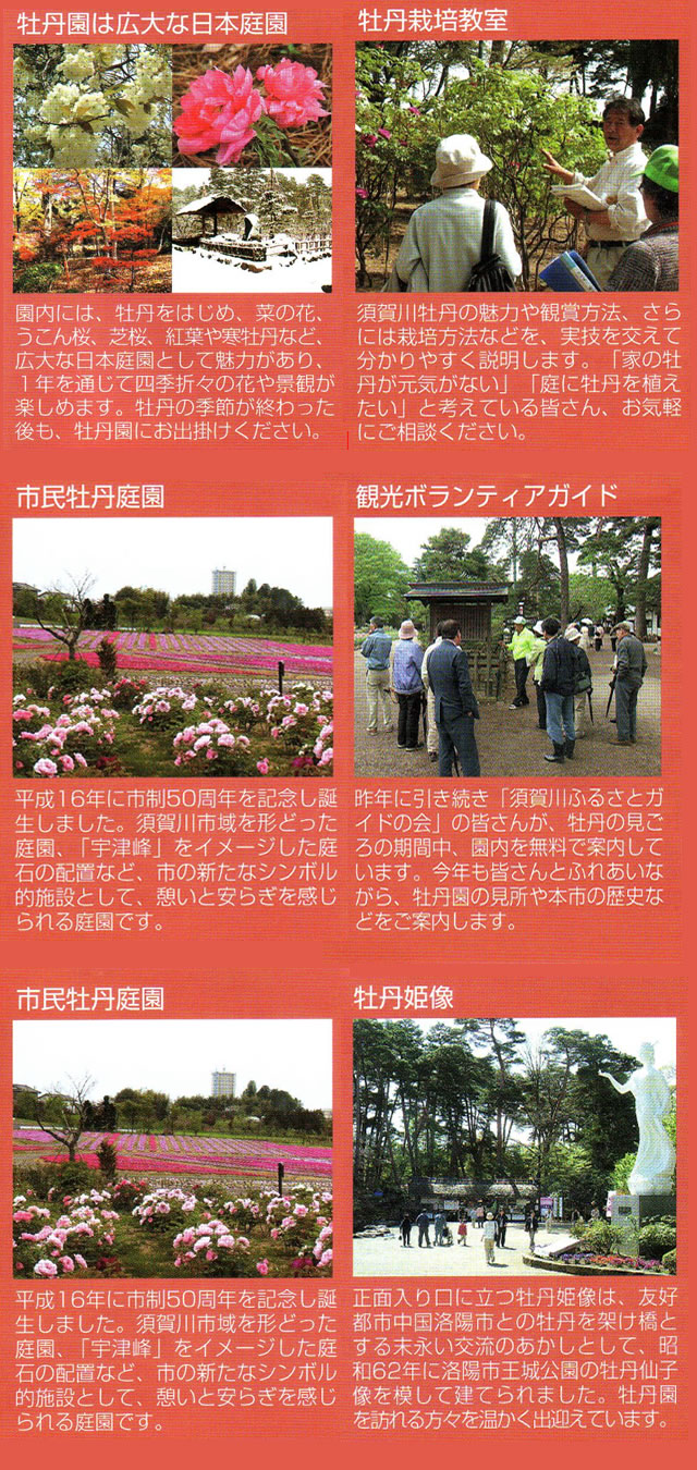 �{��쉲�O���݂̂ǂ���͂������񂠂�܂��B