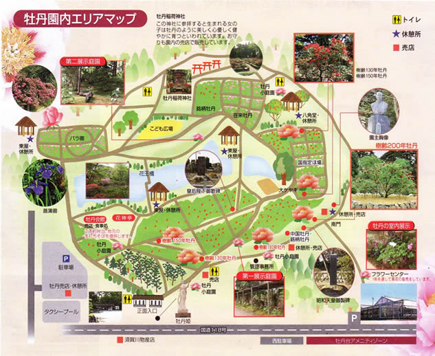 ���O���G���A�}�b�v